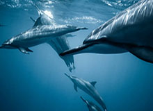 幸运水果机2小游戏-XingKong星空:用星光点亮生活的方式